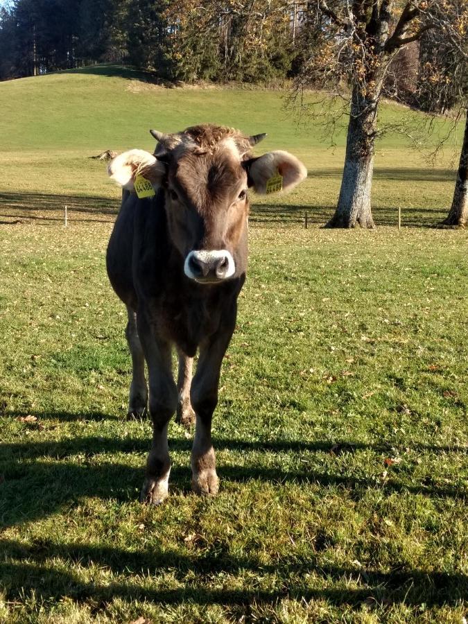 Eistobel Und Felderhalde Leilighet Isny im Allgäu Eksteriør bilde