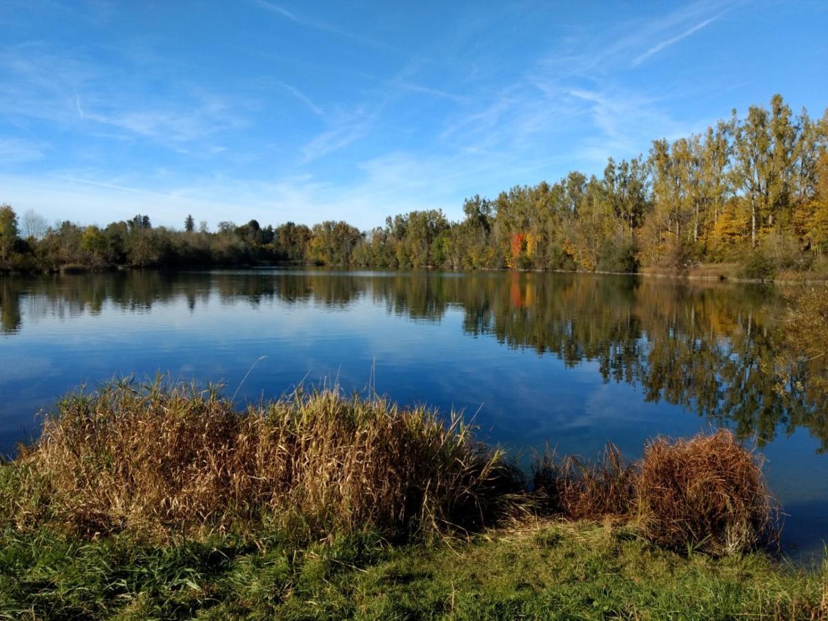 Eistobel Und Felderhalde Leilighet Isny im Allgäu Eksteriør bilde