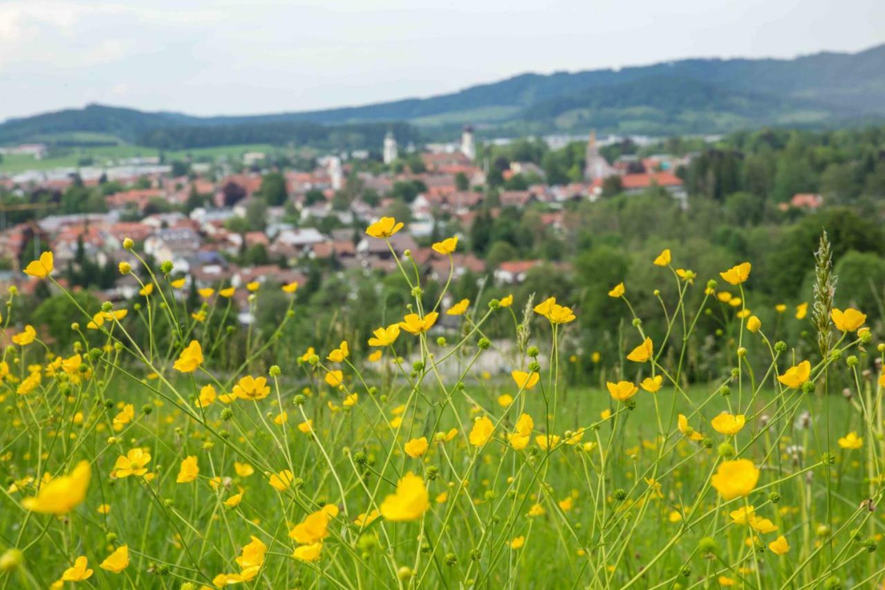 Eistobel Und Felderhalde Leilighet Isny im Allgäu Eksteriør bilde